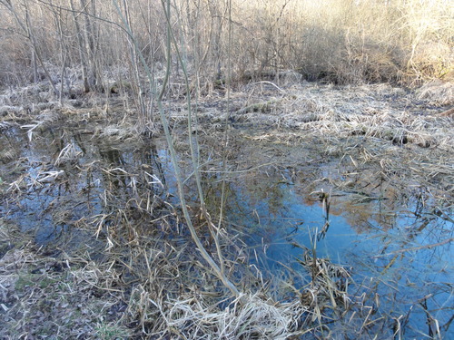 Tegeler Fließ zwischen Lübars und Hermsdorf