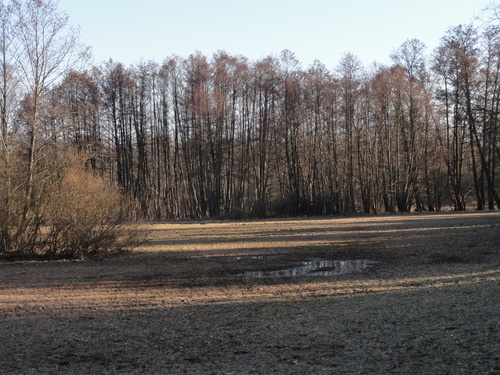 Tegeler Fließ in Hermsdorf