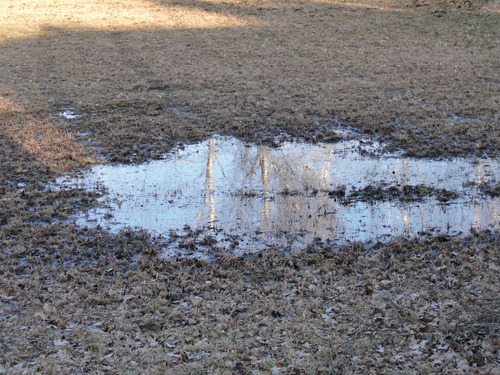 Tegeler Fließ in Hermsdorf