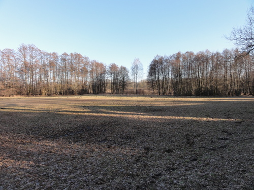 Tegeler Fließ in Hermsdorf