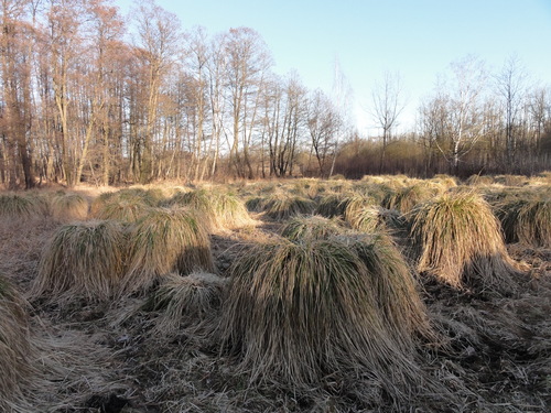 Tegeler Fließ in Hermsdorf