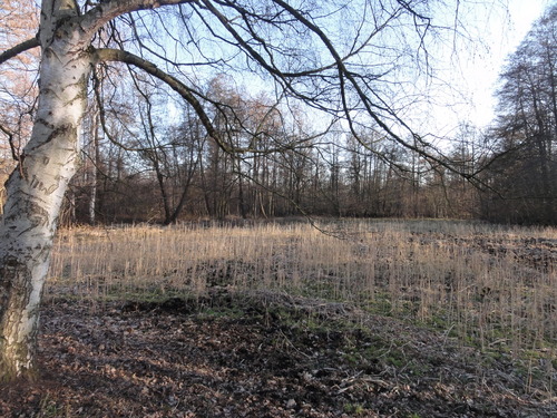 Tegeler Fließ in Hermsdorf