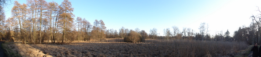 Tegeler Fließ in Hermsdorf