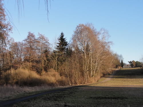 Tegeler Fließ in Hermsdorf