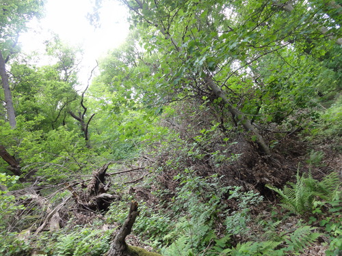 Drachenhöhle im Siebengebirge