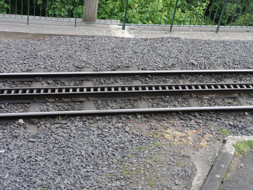 Schmalspurbahn auf den Drachenfels