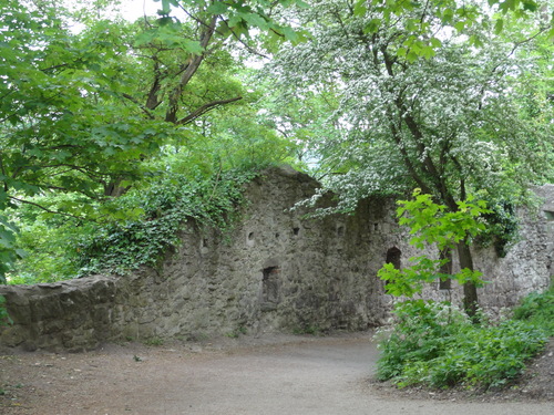 Burg auf den Drachenfels