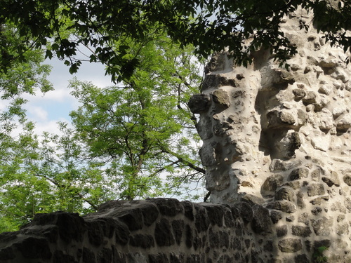 Burg auf den Drachenfels