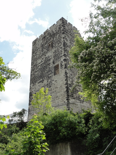 Burg auf den Drachenfels