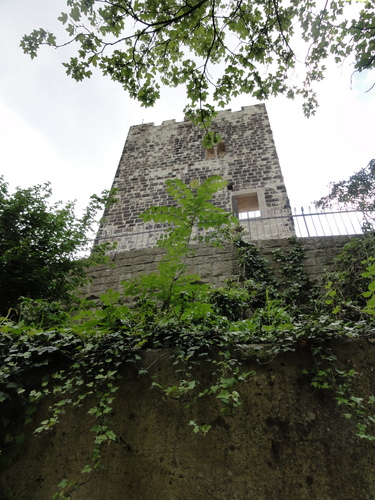 Burg auf den Drachenfels