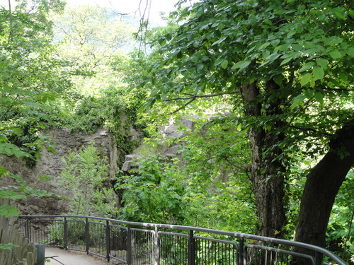 Burg auf den Drachenfels