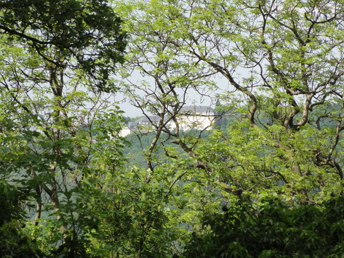 Blick auf den Petersberg