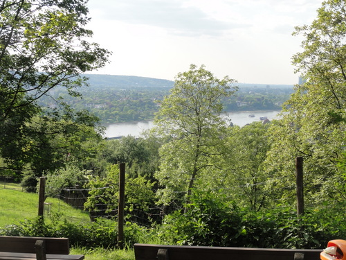 Bad Godesberg vom Drachenfels