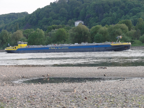 Rhein bei Bad Honnef