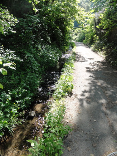 Bad Honnef, Weg zur Löwenburg