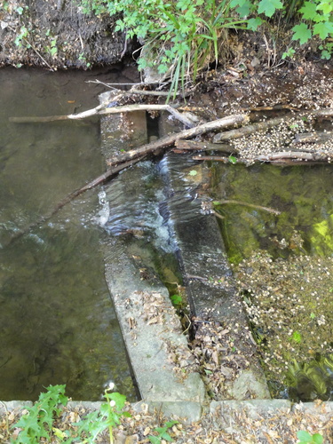 Staurufen von der Löwenburg nach Honnef