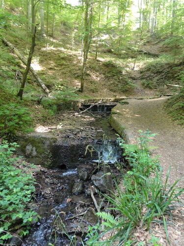 Bad Honnef, Weg zur Löwenburg