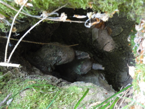 Drachenhöhle auf dem Weg zur Löwenburg, Bad Honnef