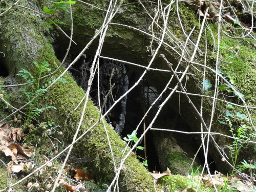 Drachenhöhle auf dem Weg zur Löwenburg, Bad Honnef