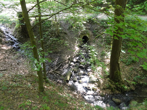 Drachenhöhle auf dem Weg zur Löwenburg, Bad Honnef
