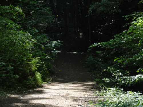 Bad Honnef, Weg zur Löwenburg