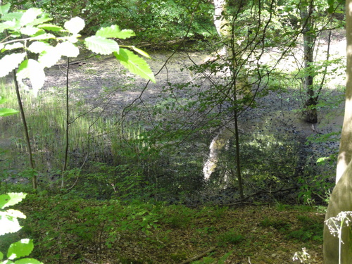 Bad Honnef, Weg zur Löwenburg