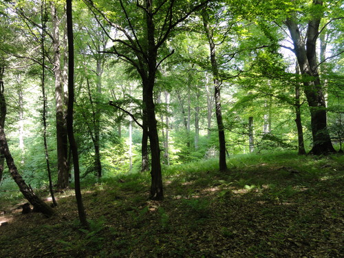 Bad Honnef, Weg zur Löwenburg