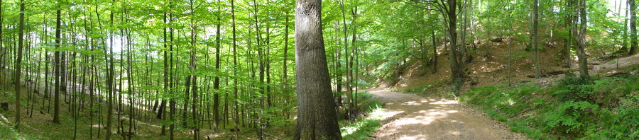 Bad Honnef, Weg zur Löwenburg