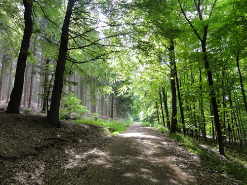 Bad Honnef, Weg zur Löwenburg