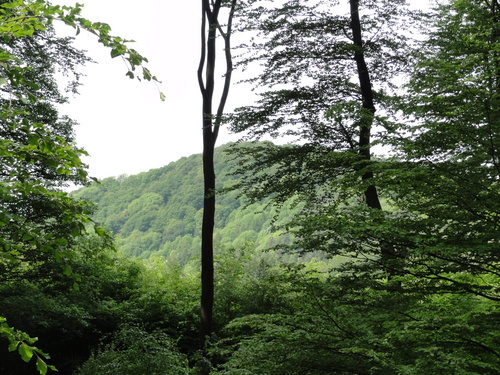 Bad Honnef, Weg zur Löwenburg