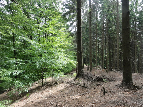 Bad Honnef, Weg zur Löwenburg