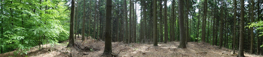 Bad Honnef, Weg zur Löwenburg