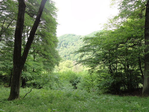 Bad Honnef, Blick von der Löwenburg