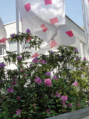 Telekomgebäude in Bad Godesberg