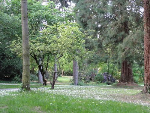 Redoutenpark in Bad Godesberg