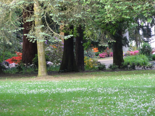 Redoutenpark in Bad Godesberg