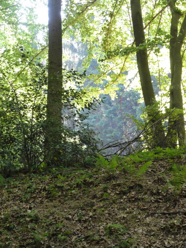 Bad Honnef, Weg zur Löwenburg