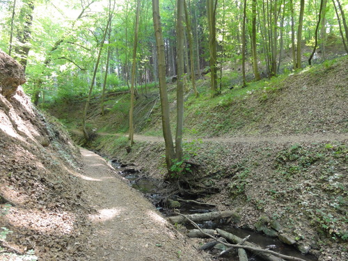 Bad Honnef, Weg zur Löwenburg