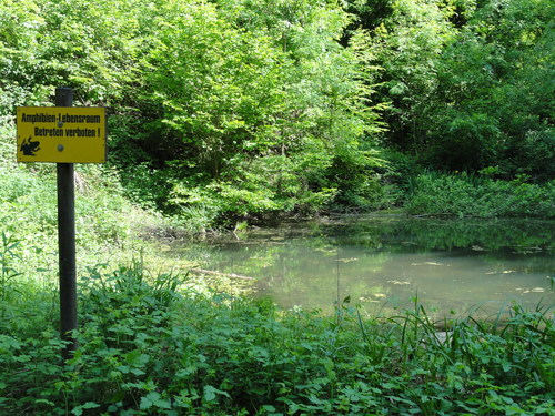 Bad Honnef, Weg zur Löwenburg