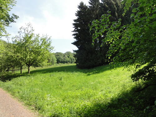 Bad Honnef, Weg zur Löwenburg