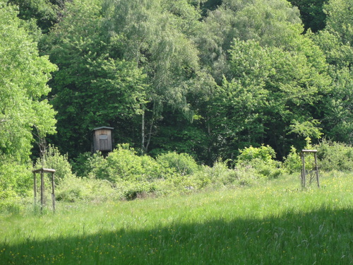 Bad Honnef, Weg zur Löwenburg