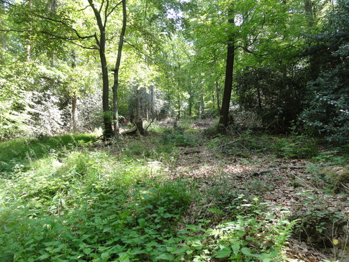 Bad Honnef, hinter der Löwenburg