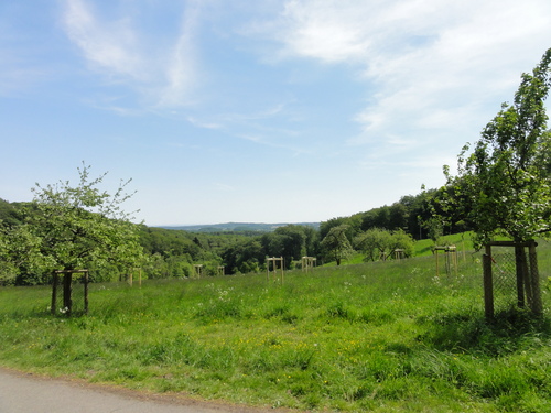 Bad Honnef, hinter der Löwenburg