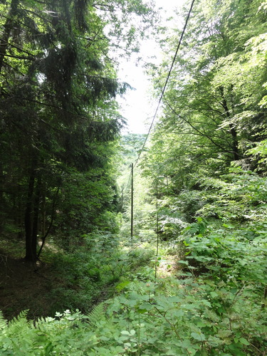 Bad Honnef, hinter der Löwenburg