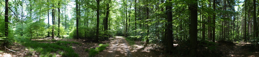 Bad Honnef, hinter der Löwenburg