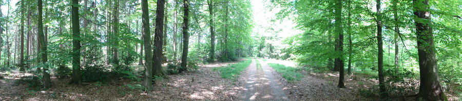 Bad Honnef, hinter der Löwenburg