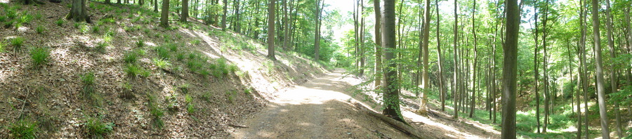 Bad Honnef, hinter der Löwenburg