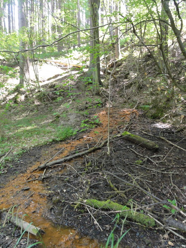 Zufluss zum Schmelzbach, gen  Bad Honnef