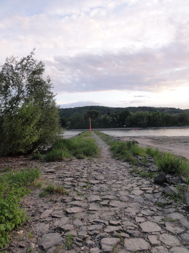 Rhein-Buhne bei Bad Honnef