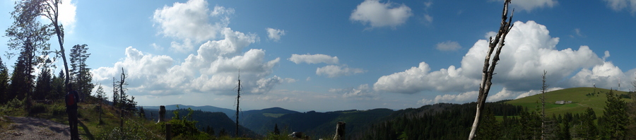 Feldberggipfel